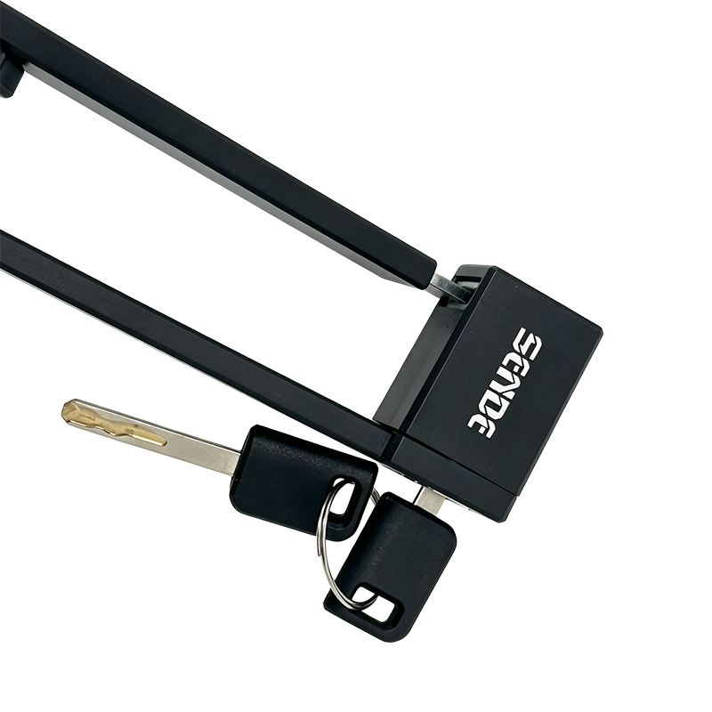 SDZ19